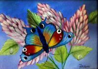 Illusive Butterfly - Acrylic Paintings - By Fram Cama, Realism Painting Artist