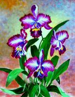 Orchid - Acrylic Paintings - By Fram Cama, Still Life Painting Artist