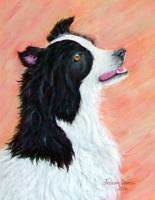 Border Collie - Acrylic Paintings - By Fram Cama, Realism Painting Artist