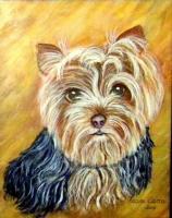 Dogs - Yorkshire Terrier - Acrylic