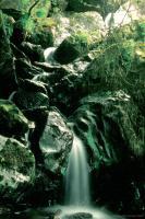 Misty Waterfall - Gouganbarra - Ireland - Digital Photography - By Macsfield Images, Landscape Photography Artist