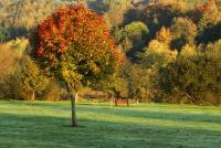 Autumn - Digital Photography - By Macsfield Images, Landscape Photography Artist