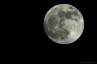 Full Moon - Digital Photography - By Macsfield Images, Landscape Photography Artist
