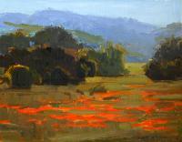 Bear Valley Poppies - Oils Paintings - By Lillian Landivar-Torrico, Impressionistic Painting Artist