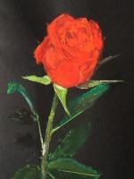 Rose - Colors Paintings - By Louis Loo, Impressionism Painting Artist