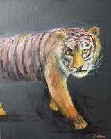 Tiger - Oil On Canvas Paintings - By Lloyd Charvis, Realism Painting Artist