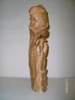 The Necture - Cottonwood Root Sculptures - By Robin Williamson, Hand Carving Sculpture Artist