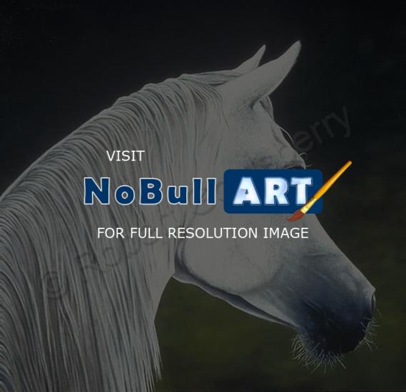 Equine - My Alibi - Oil On Canvas