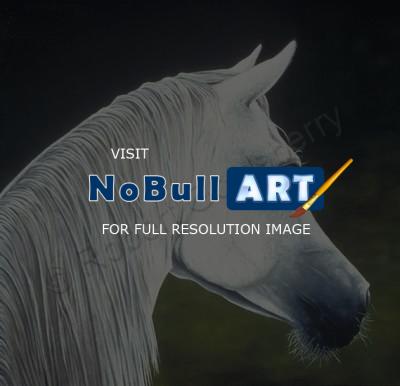 Equine - My Alibi - Oil On Canvas