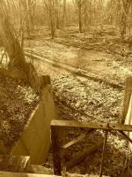 Forlorn Forage For Thought - Camera Photography - By Brandon Purdy, Sepia Photography Artist