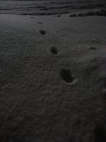 Lost Footprints - Add New Artwork Medium Photography - By Brandon Purdy, Photography Photography Artist