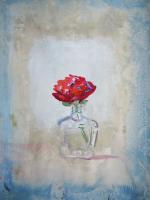 Red Ranunculus - Casein On Paper Paintings - By Craig Coss, Minimalism Abstract Impression Painting Artist