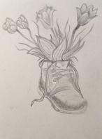 Flowers - Pencil And Paper Drawings - By Hannah Wilson, Nature Drawing Artist