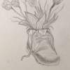 Flowers - Pencil And Paper Drawings - By Hannah Wilson, Nature Drawing Artist