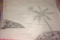 Fun At The Beach - Pencil And Paper Drawings - By Hannah Wilson, Nature Drawing Artist