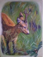 Roe Deer - Oil On Canvas Paintings - By M V, Wildlife Painting Artist
