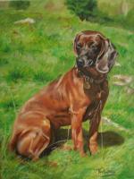 Aila - Oil On Canvas Paintings - By M V, Wildlife Painting Artist