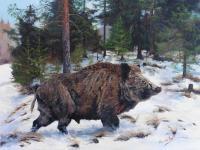 Wild Boar 15 - Oil On Canvas Paintings - By M V, Wildlife Painting Artist