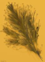 Birds Feathers - Digital Digital - By Eric Sanders, Abstract Digital Artist