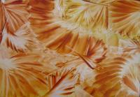 Shells Of Honey - Encaustic Wax Paintings - By Sally Morris, Surreal Painting Artist