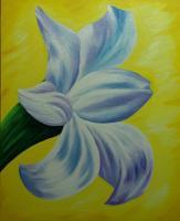 Flowers - White Lilly - Acrylic