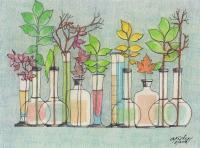 Vials Of Flowers - Pencil And Paper Drawings - By Anna Helena Fisher, Composition Drawing Artist