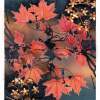 Maple Leaves In The Fall - Pencil And Paper Printmaking - By Anna Helena Fisher, Collage Printmaking Artist