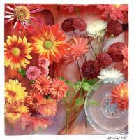 Mums And Dahlias - Pencil And Paper Printmaking - By Anna Helena Fisher, Collage Printmaking Artist