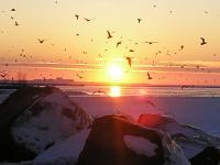Sunset - Bird Lake - Natural
