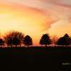Sunset Whiskey Island - Natural Photography - By John Hoytt, Photography Photography Artist