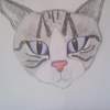Parker Cat - 140Lb Watercolor Paper Drawings - By Melissa Nelkie, Unique Drawing Artist