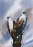 Eagle - Water Colour Paintings - By Khilchand Chaudhari, Nature For Painting Painting Artist