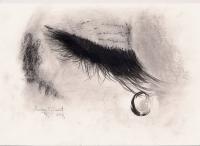 Tear On Lash - Charcoal Drawings - By Eamon Gilbert, Still Life Drawing Artist