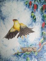 American Goldfinch - Ink And Pencils Drawings - By Tom Rechsteiner, Realism Drawing Artist