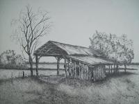 Florida Old Shed - Ink Drawings - By Tom Rechsteiner, Realism Drawing Artist