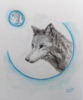 Lone Wolf - Ink Drawings - By Tom Rechsteiner, Realism Drawing Artist