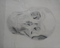 Skulloween - Pencil And Paper Drawings - By Alexa Wilson, Black And White Drawing Artist