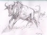 Blue Wildebeest Gnu - Pen And Wash Drawings - By Tony Grogan, Line And Wash Drawing Drawing Artist