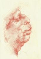 Davinci Study 3 - Pencil On Paper Drawings - By Elizabeth Miron, Realism Drawing Artist