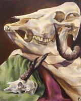 Skull Study - Acrylic On Canvas Paintings - By Elizabeth Miron, Realism Painting Artist