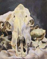 Skull Study 2 - Acrylic On Canvas Paintings - By Elizabeth Miron, Realism Painting Artist