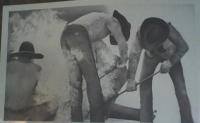 Branding Time - Pencil  Graphite Drawings - By Kathy Sands, Western Realism Drawing Artist