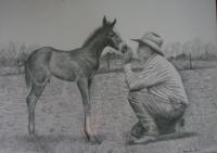 Newborn Colt - Pencil  Graphite Drawings - By Kathy Sands, Western Realism Drawing Artist
