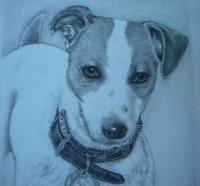 Maggie - Pencil  Graphite Drawings - By Kathy Sands, Realism Drawing Artist