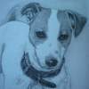 Maggie - Pencil  Graphite Drawings - By Kathy Sands, Realism Drawing Artist