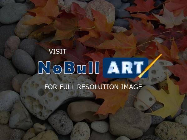 Nature Landscape Photographic - Sweet Autumn I Photographic Art Print Leaves Rock Garden - Photography Photos Photographi