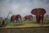 African Animal Life - Acrylic On Canvas Paintings - By Ahmed Sabir, Realism Painting Artist