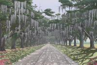 Avenue Of Oaks - Acrylic Paintings - By Allan West, Realistic Painting Artist
