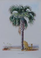 Palm Yellow - Acrylic Paintings - By Allan West, Realistic Painting Artist