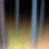 Enchanted Forest 2 - Digital Image Photography - By John R Math, Abstract Photography Artist